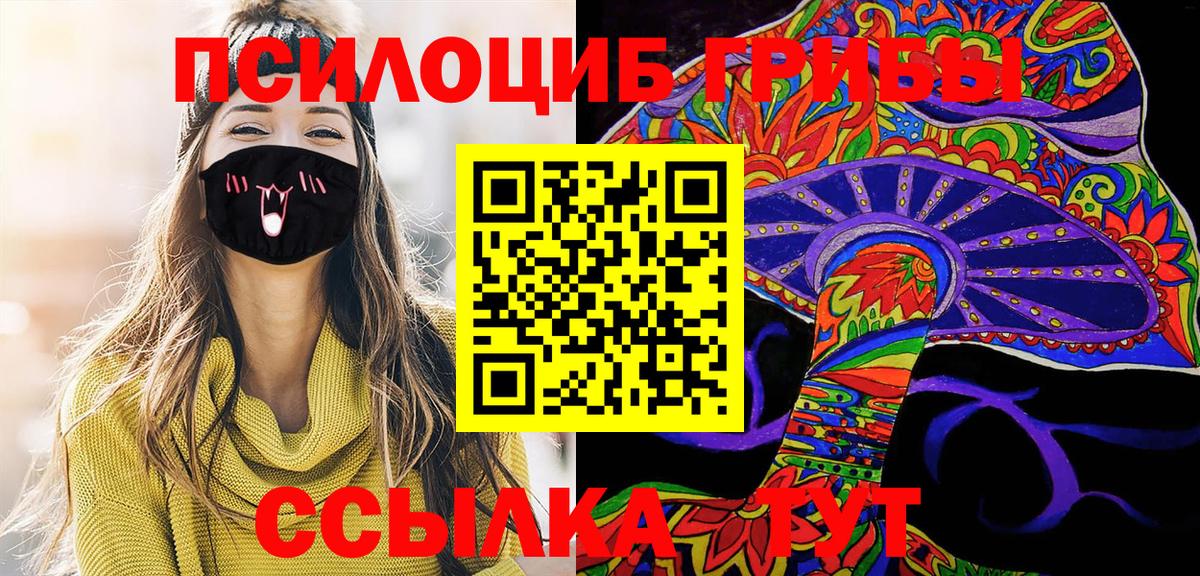 Псилоцибиновые грибы Psilocybe Камышин