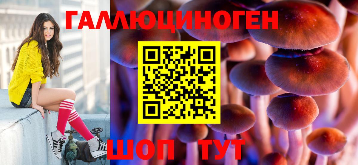 Галлюциногенные грибы MAGIC MUSHROOMS  Вход с VPN  закладки  Камышин 
